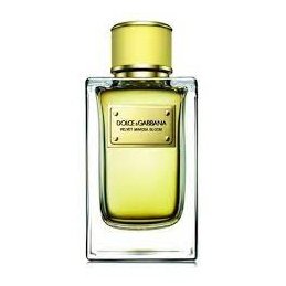 Dolce & Gabbana Velvet Mimosa Leather Edp 150Ml דולצ'ה גבנה בושם דולצ'ה גבנה יוניסקס