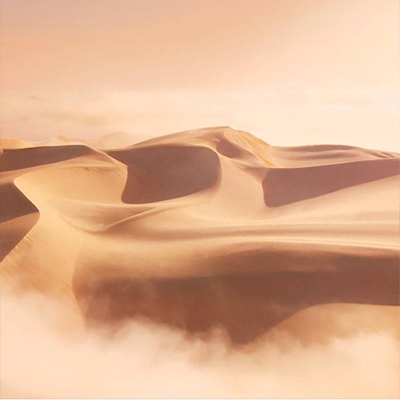 ESTEE LAUDER Luxury Fragrance Blushing Sands EDP אסתי לאודר בושם יוקרה